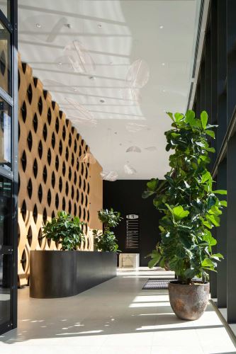 A.M. ARCHITECTS | LOBBY KLINGERKA